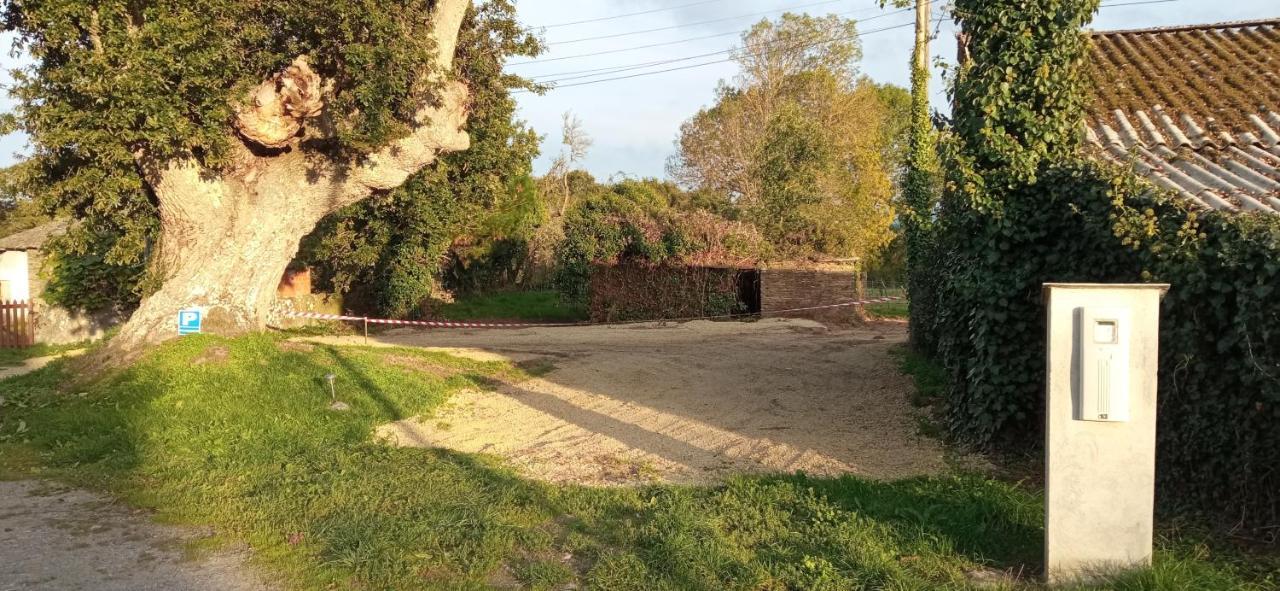 Sobrada Casa Oute 게스트하우스 외부 사진